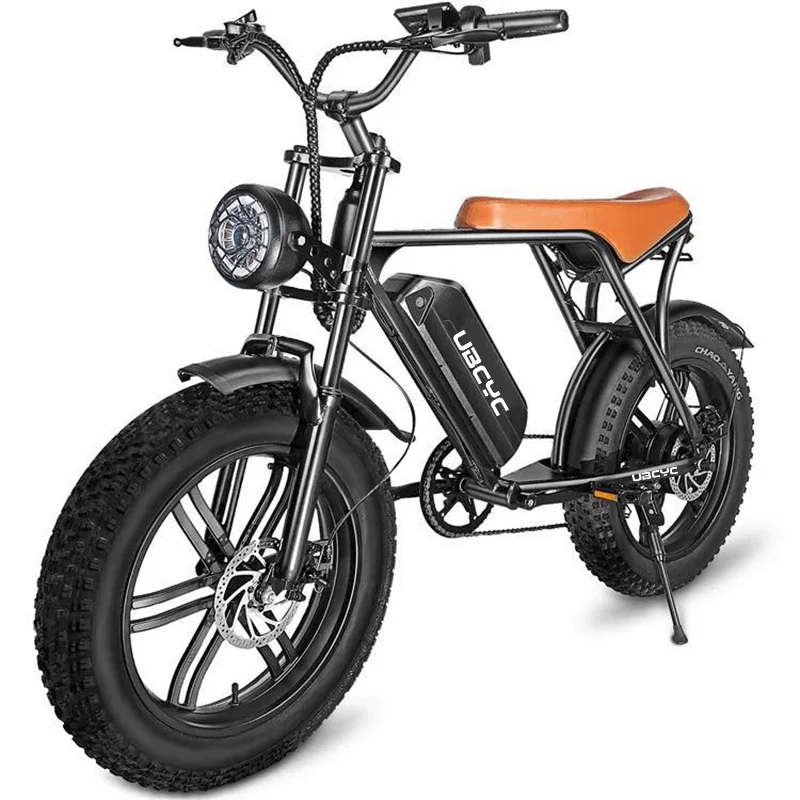 Electric Fat Bike 20-Inch Aluminum Alloy 500W 750W 1000W 48V Lithium Battery 7 Speed Rear Hub Motor Electric Mountain Bike