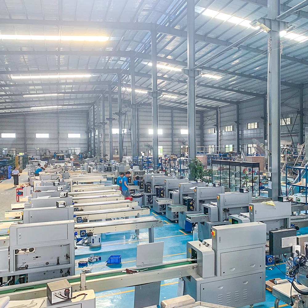 CHINA Horizontal Automatic Pillow Fresh Fruit and Vegetable Packing Machine