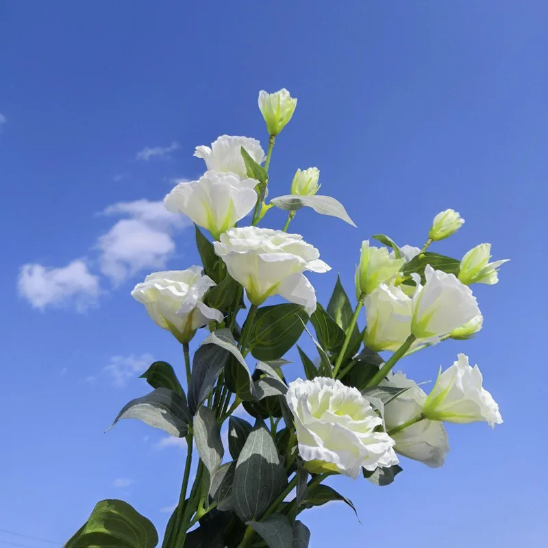 Lisidon Grandiflorum 4 Heads Artificial Single Platycodon Long Stem Branch Lisianthus Flower