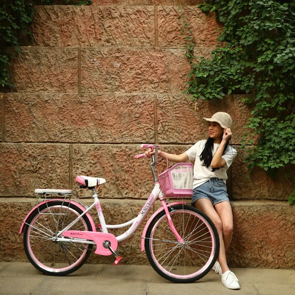 China Tianjin Jienate Factory Bicycle Cycling Disc Brake Two Wheels Vtt Cycle 7 Speed 26 Inch Frame MTB City Lady Mountain bike