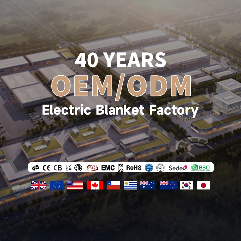 220v 240v Machine Washable Soft Comfort Fast Heating Electric Blanket Single/Double Size