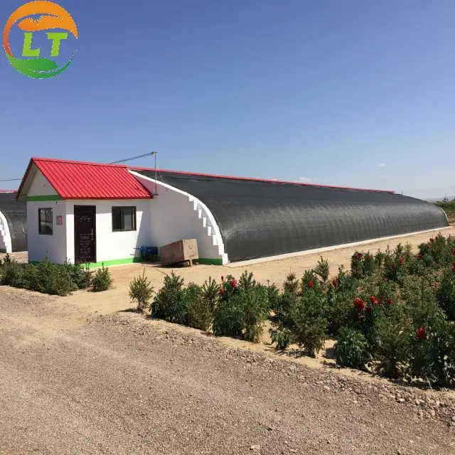Winter cold weather greenhouse solar greenhouse