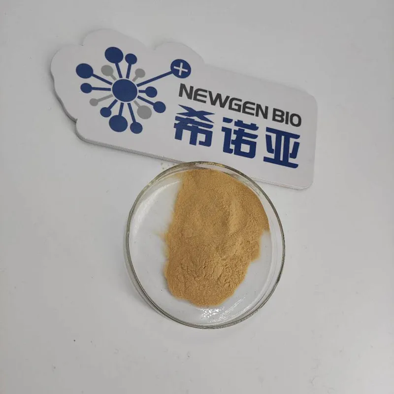 High Quality Acid Protease Enzyme Powder for Food Additive