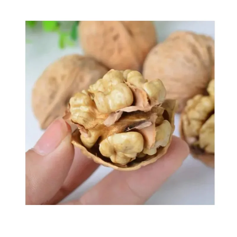 Китайский новый урожай 2021 свежих грецких орехов, очистка косточек орехов и пилинг косточек