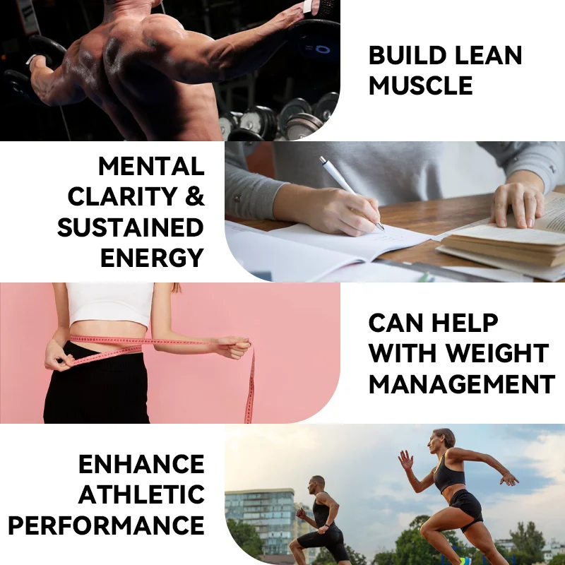 Greenpie Wholesale Vegan Chocolate Vanilla Flavar Superfood Meal Replacement Gym Protein Nutrition Powder