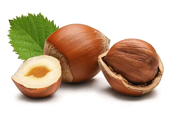 2021 Hot Sale hazelnut nuts spread hazelnut hazelnuts with best price