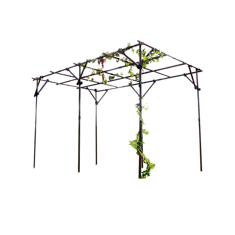 
Vegetable and fruit climbing rack Climbing vine flower rack Custom Steel Alloy Fixie Garden Frame For Fruits 