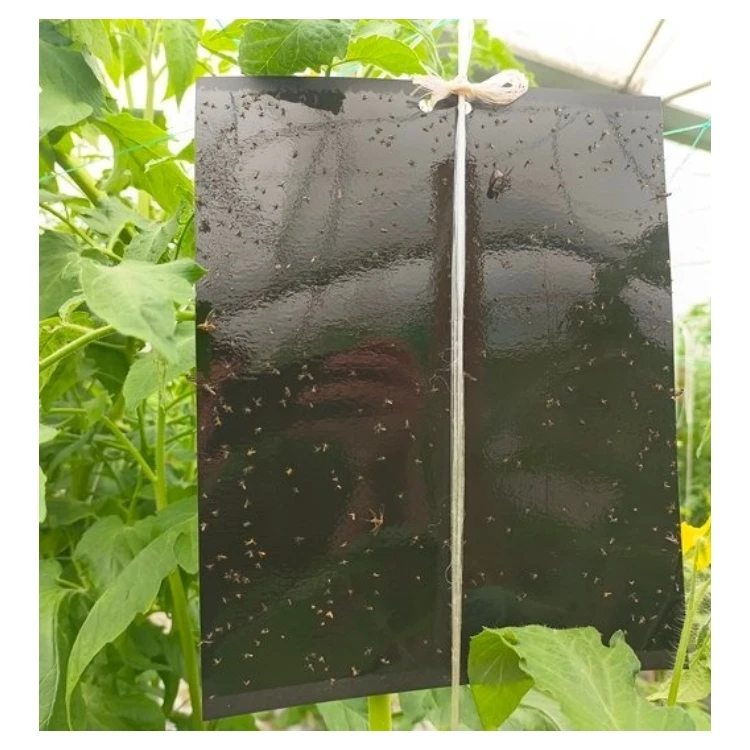 Agricultural Greenhouses Black Sticky Trap Pest Insects Killer Control Outdoor Black Sticky Trap Glue Board Insect Catcher