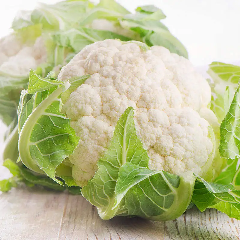 Export cauliflower fresh cauliflower from China hot sale with competitive vegetables