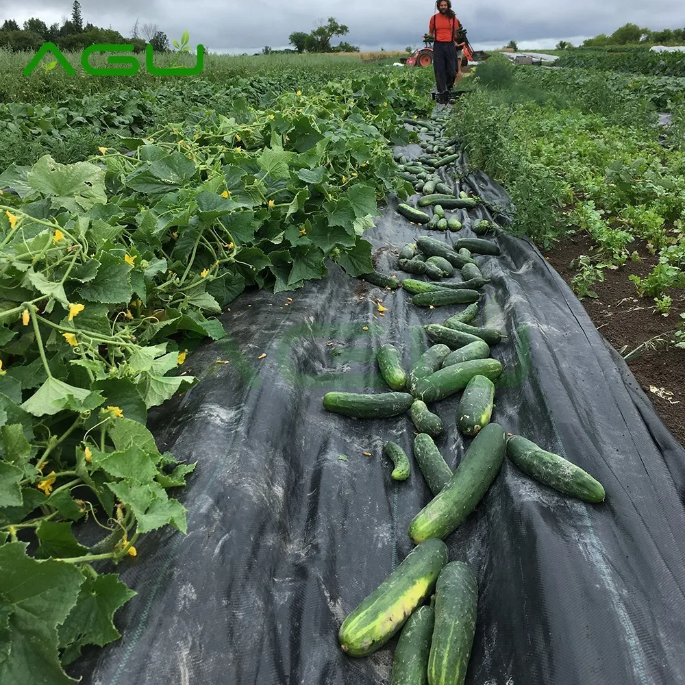 80gsm 90gsm 100gsm Weed Mat Agricultural Plastic Ground Cover Piece HDpp Shandong Hongguan