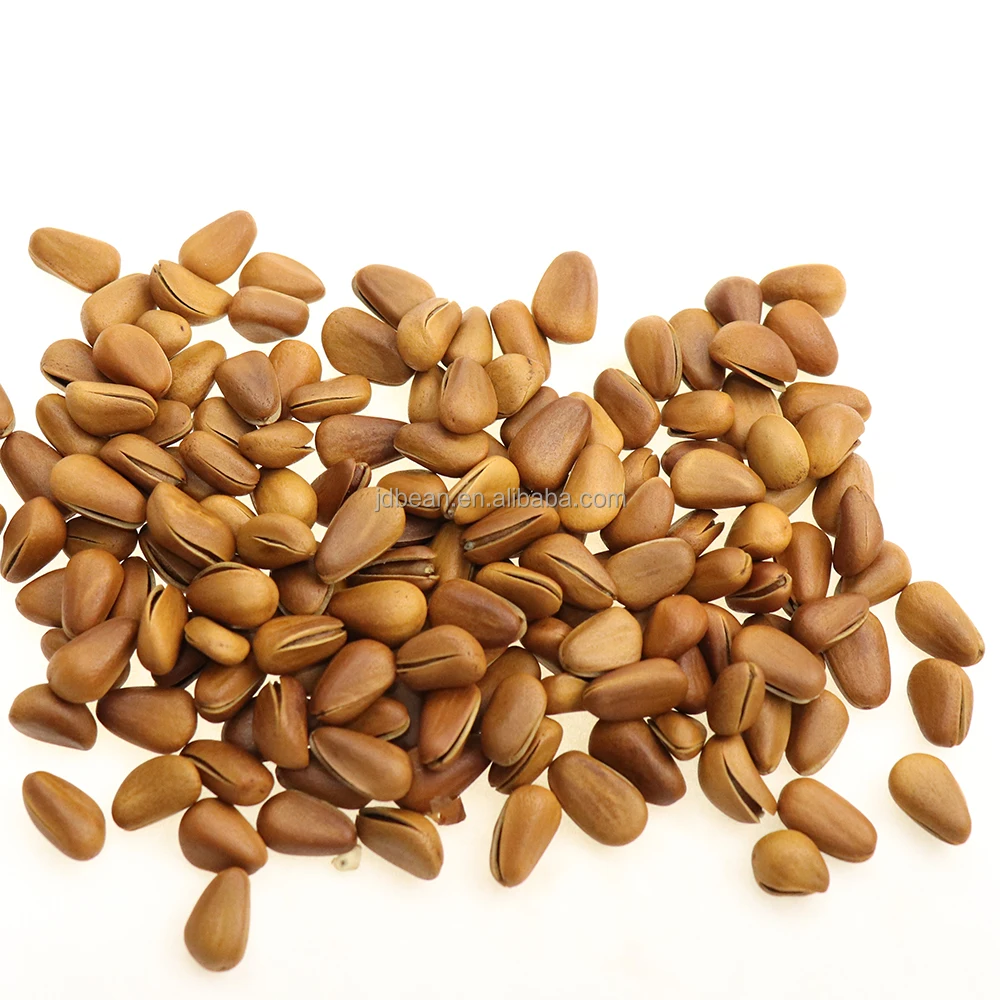 Wholesale Price China Raw And Roasted Organic Dry Pine Nut Kernel Pine Nuts Prices