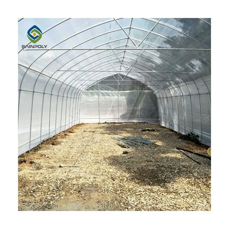 Galvanized steel frame luxury geodesic dome tunnel greenhouse greenhouse manufacturers used for sale