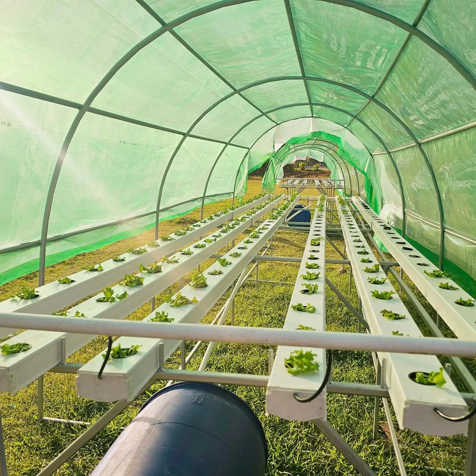 Hydroponics Vertical Farming Planting Square Channel System 100x50mm Indoor NFT Grow Kit Systems For Garden and Agricultural