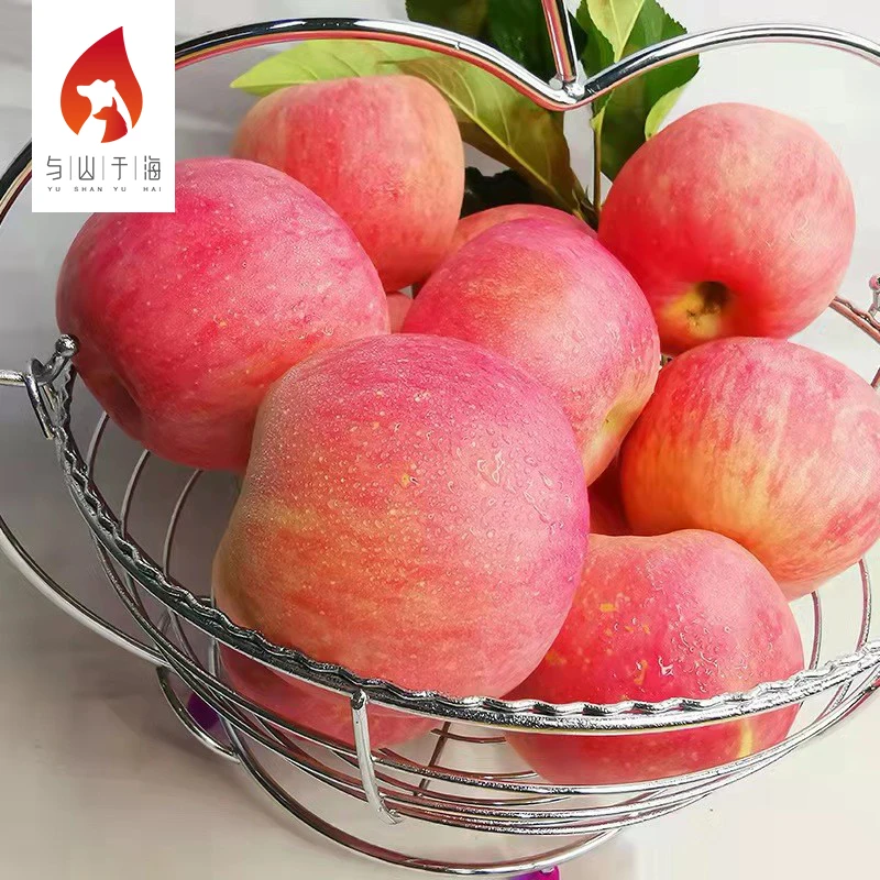 Китайские органические красные яблоки Fuji свежие фрукты