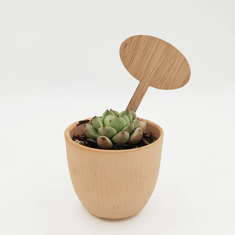 Custom Garden Label Bamboo Wood Laser Cutting Tag Bamboo Material Eco Bamboo Plant Tag Cute Plant Tags Garden Markers