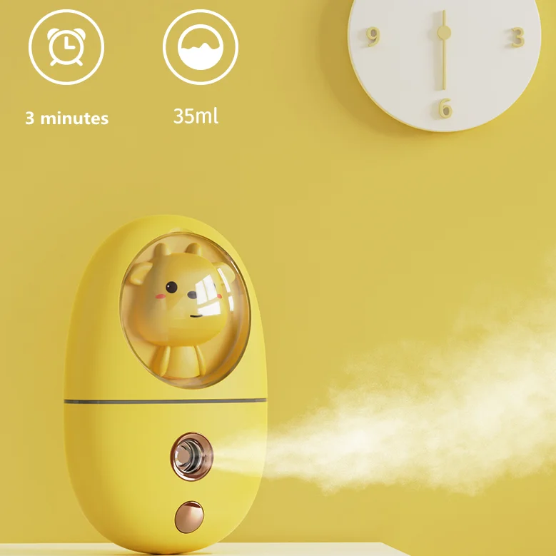 2021 Private Label Vaporizador Steamer Facial Nano Ionic Handheld Beauty Face Mist Spray