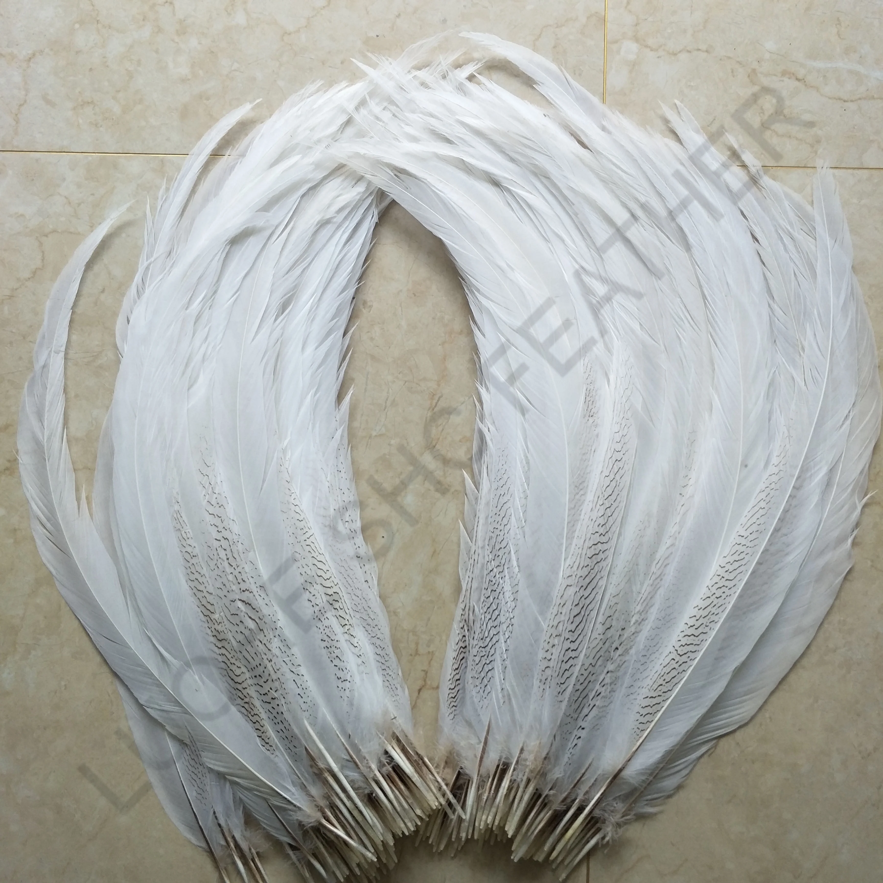 65-70cm Long White Silver Pheasant Tail Ostrich Feather Natural Pattern for Carnival Feather Costumes and Decorations or Crafts