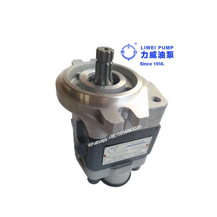 Since 1956 Hefei Liwei Forklift Hydraulic Pump for Hystera CBHZB-F32-AT 66002700