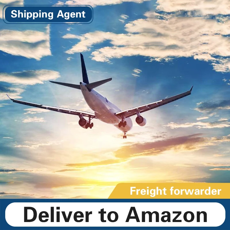 DDP Airfreight FBA amazon shipping Logistics door to door to latvia/Netherlands/Norway/Romania/Serbia/Slovakia/Slovenia/Sweden