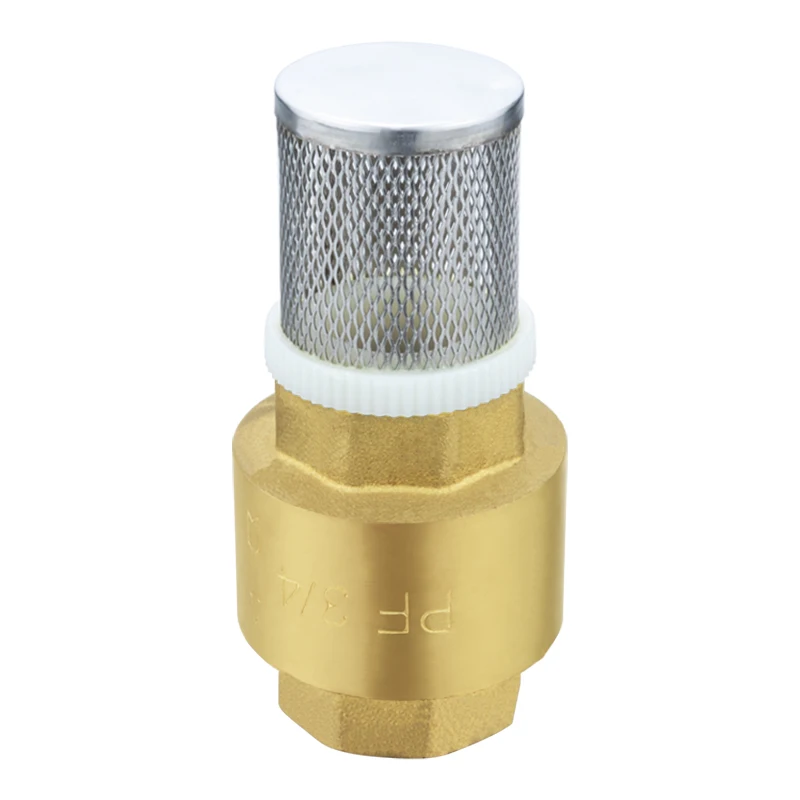 TMOK Sourcing Factory Plastic Strainer Filter Brass Spring Foot Valve Check Valve for Water Pump