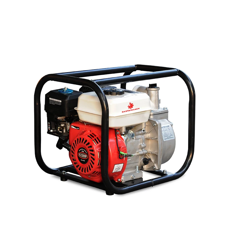 2023 Hot Sale Cheap Price Mini Gasoline Water Transfer Pump