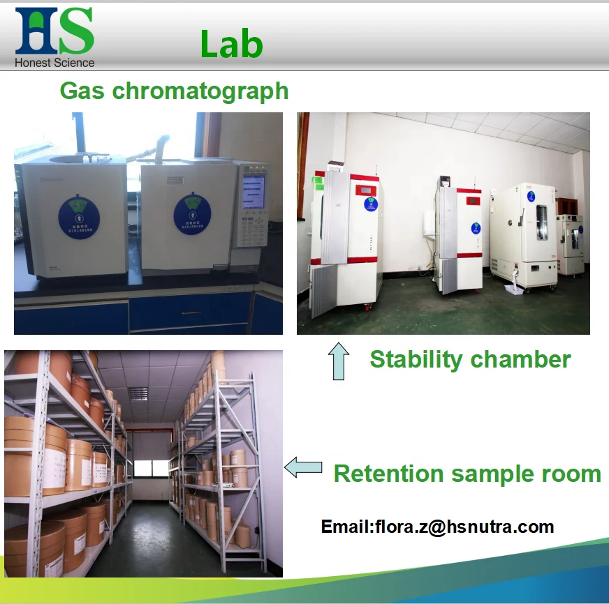 
40 60 80 mesh msm methyl sulfonyl methane 