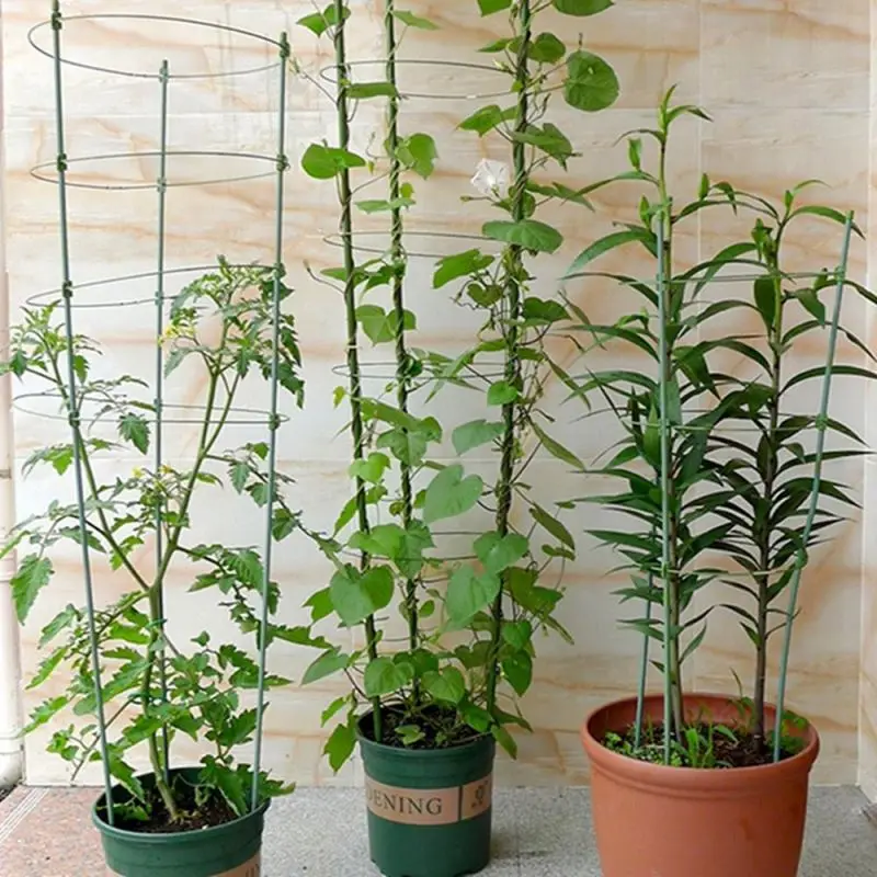 
Steel with PE coated Tomato Spiral Plant Support Garden 120cm length 