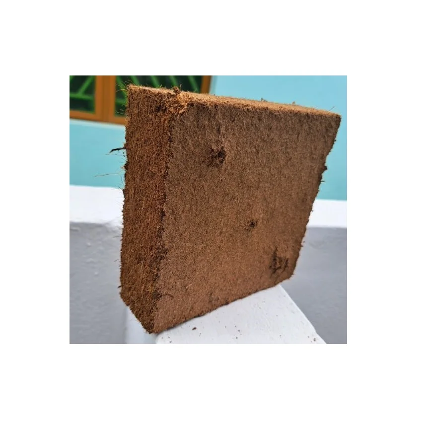 Premium Quality Peat Block with Reasonable Price Coir Bricks 5 kg Coco Peat blocks from Indian Supplier