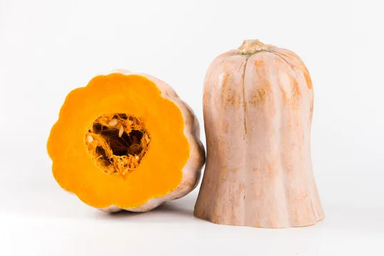 Лучшая покупка свежей тыквы из Китая, картонные коробки желтого цвета