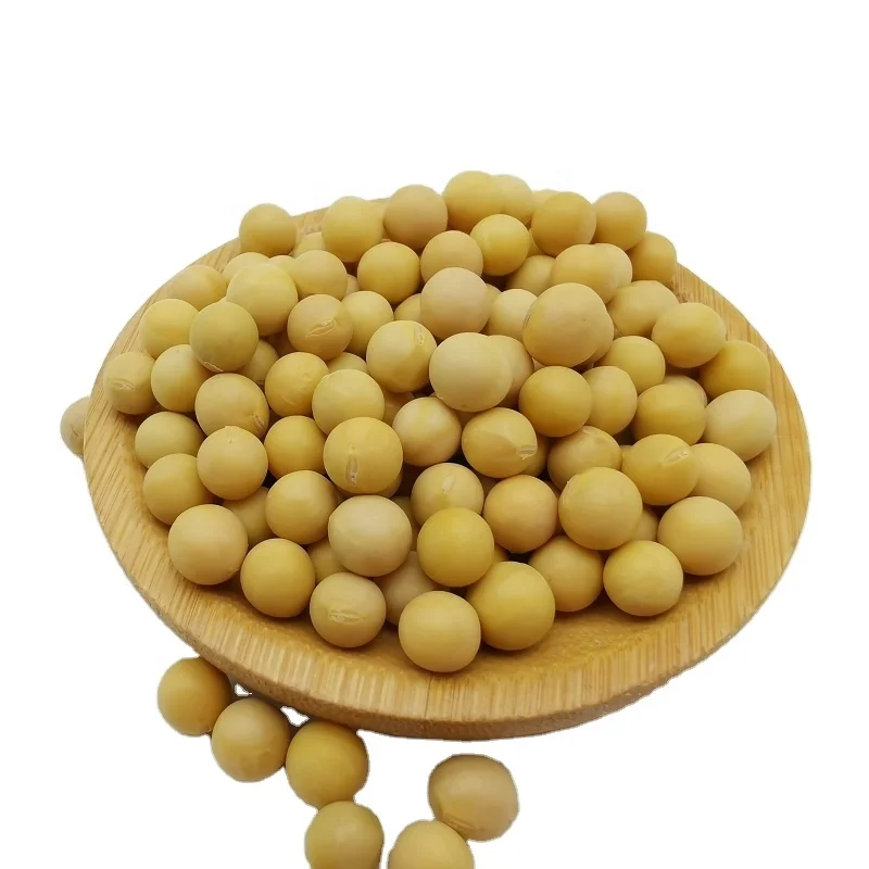 New Crop wholesale soybean seeds China origin bulk soybeans wholesale