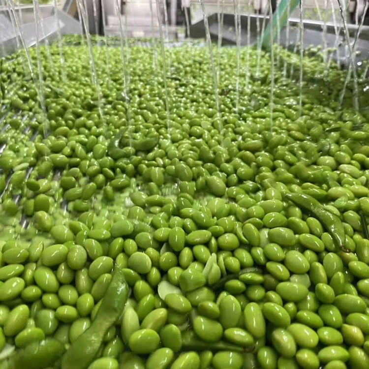 Wholesale Bulk IQF Soybean Frozen Green Edamame Young Green Beans