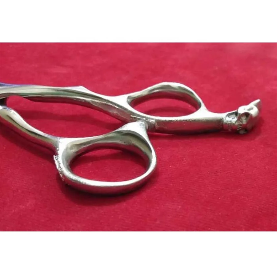 Professional Stainless Steel Barber Scissor Shear with Skull Dragon Handle Straight Blade Sharp Tip Adjustable Screw Beauty Tool