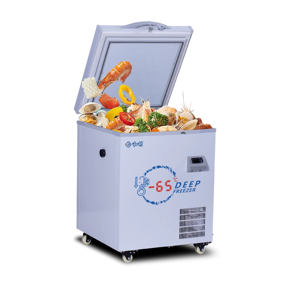 2024 hot sell chest seafood FREEZER Minus 60  degree horizontal seafood ultra  freezer seafood  ULT deep freezers for  tuna
