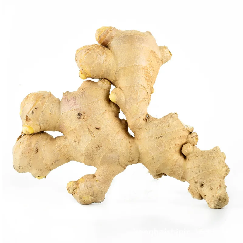 To Europe From Factory Exporting New Season Fresh Ginger