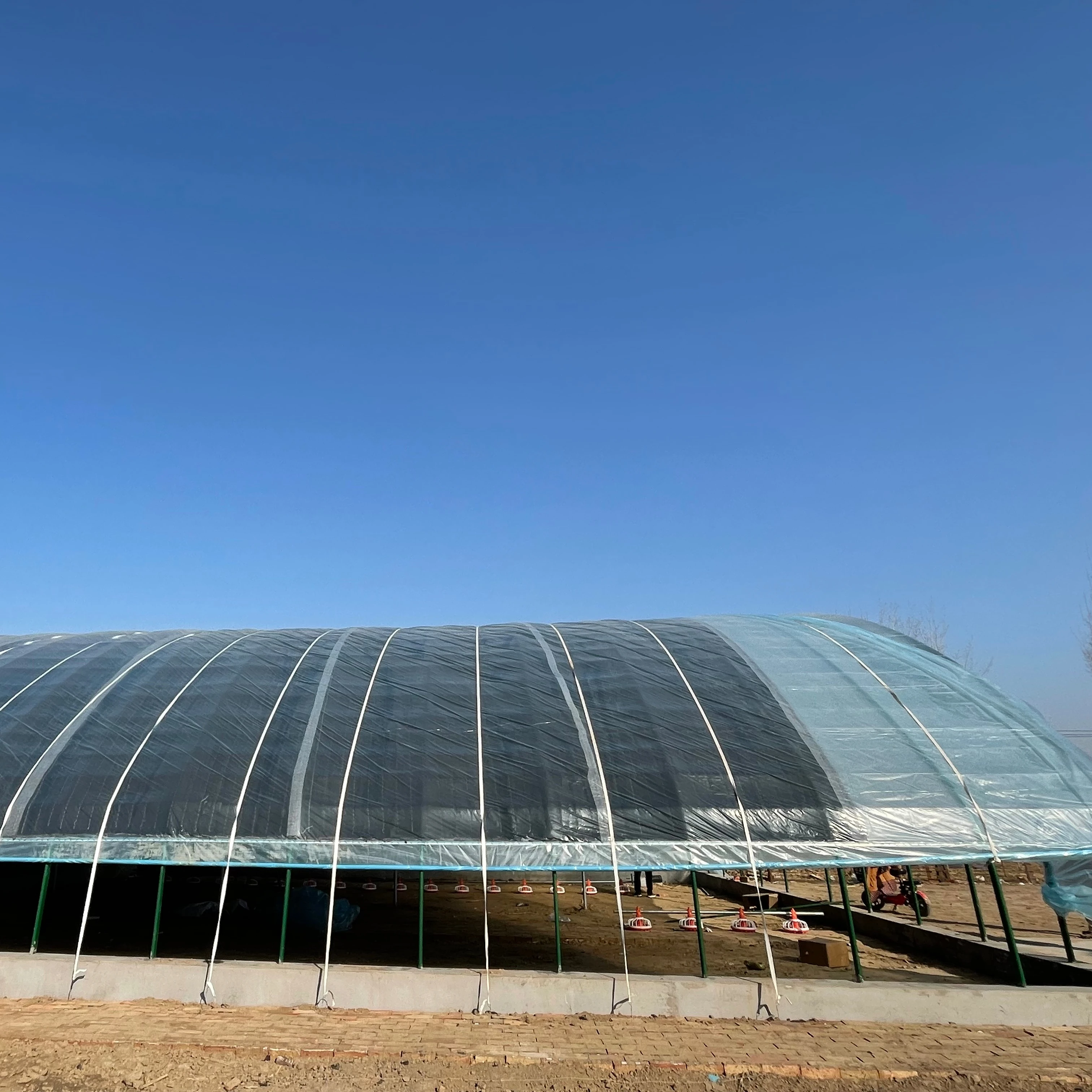 Сельскохозяйственная недорогая пленочная теплица для животных