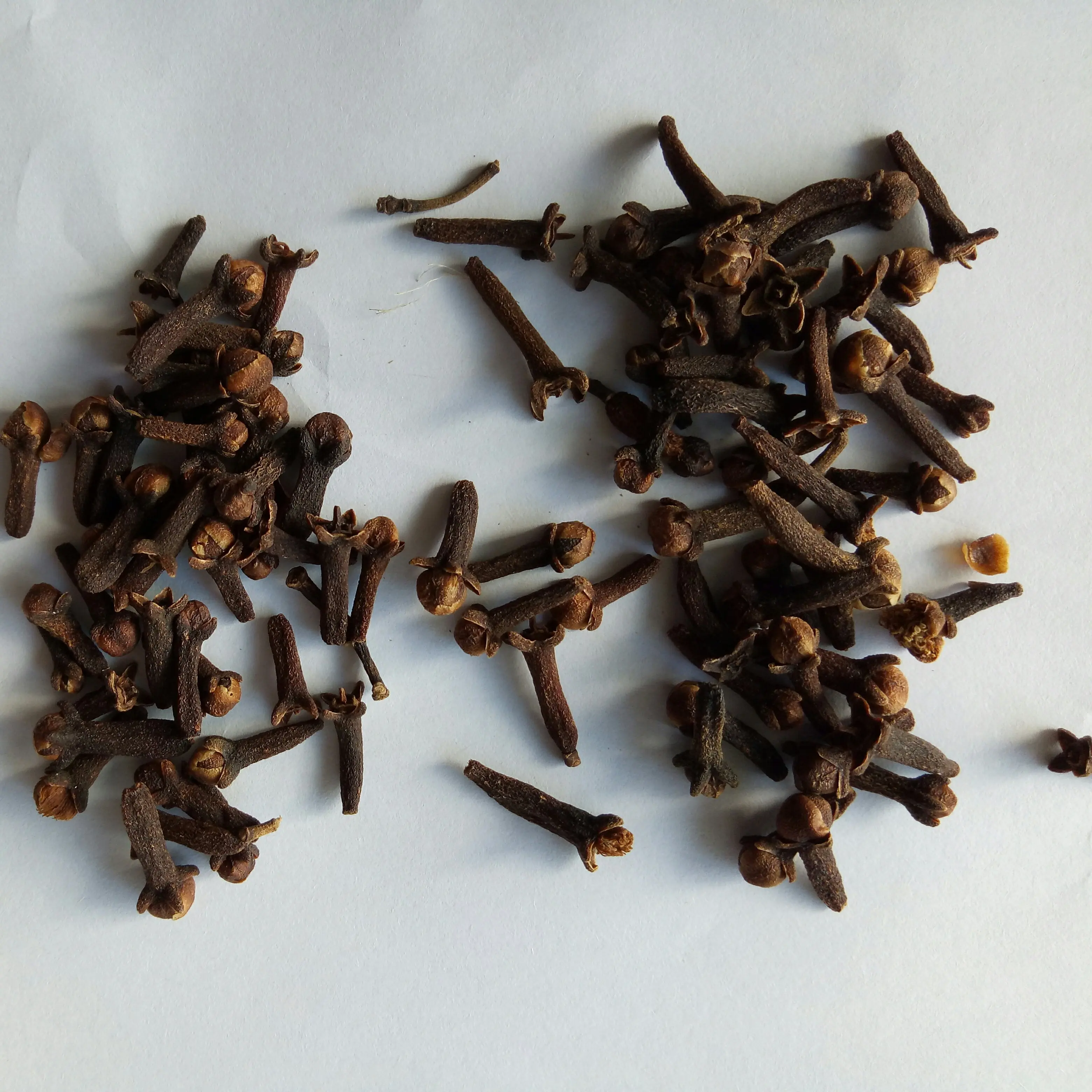 Ding xiang china sale 100% pure spice Flos Caryophylli  Eugenia caryophyllata flower buds for spice