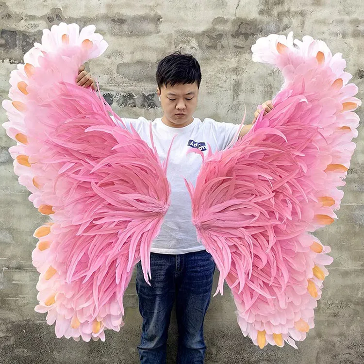 feather wings  (2).JPG