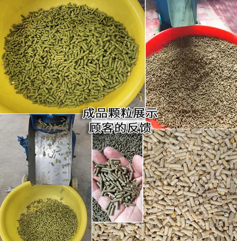 Home Use Small Feed Granulator Cattle Poultry Pellet Mill Making Machine