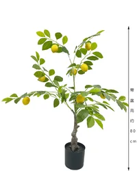 Simulation Decorations Faux Potted Lemon Fruits Tree Plastic Fruit Trees Fake Orange Artificial Lemon Tree