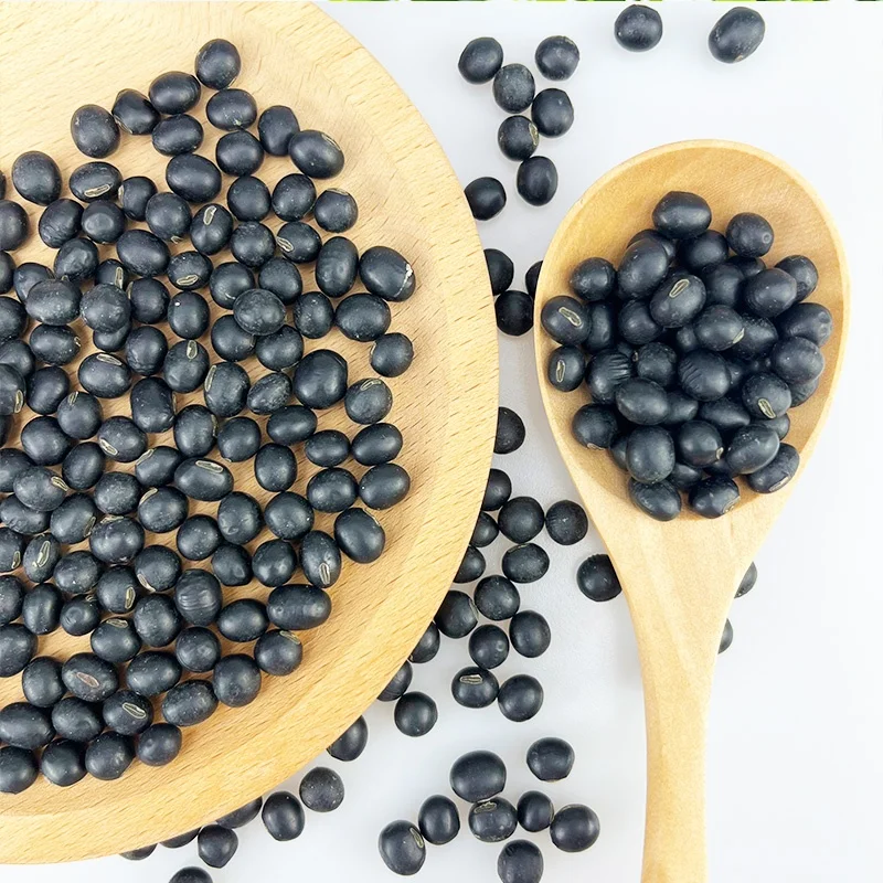 New Crop China Original NON GMO Black Bean With Green/Yellow Kernel For Porridge OR Milk