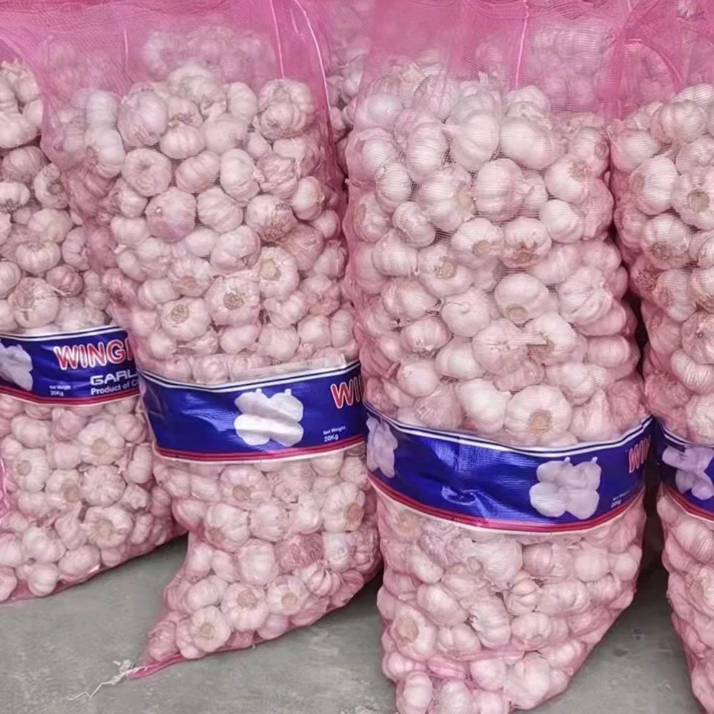 4.5-5.0cm 5.0-5.5cm Chinese fresh garlic in bulk With Best Quality