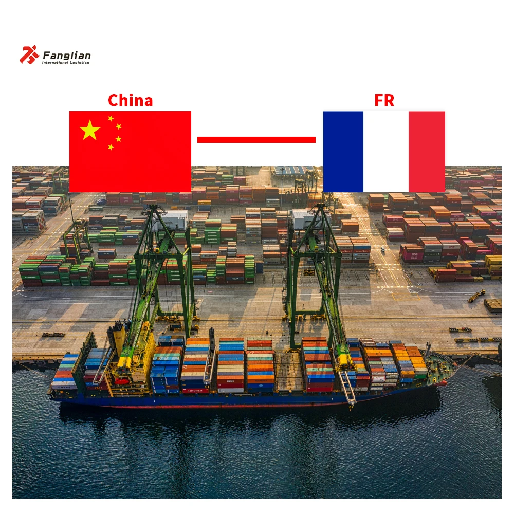 The freight forwarding company will ship the goods to France via sea freight DDP, including home delivery