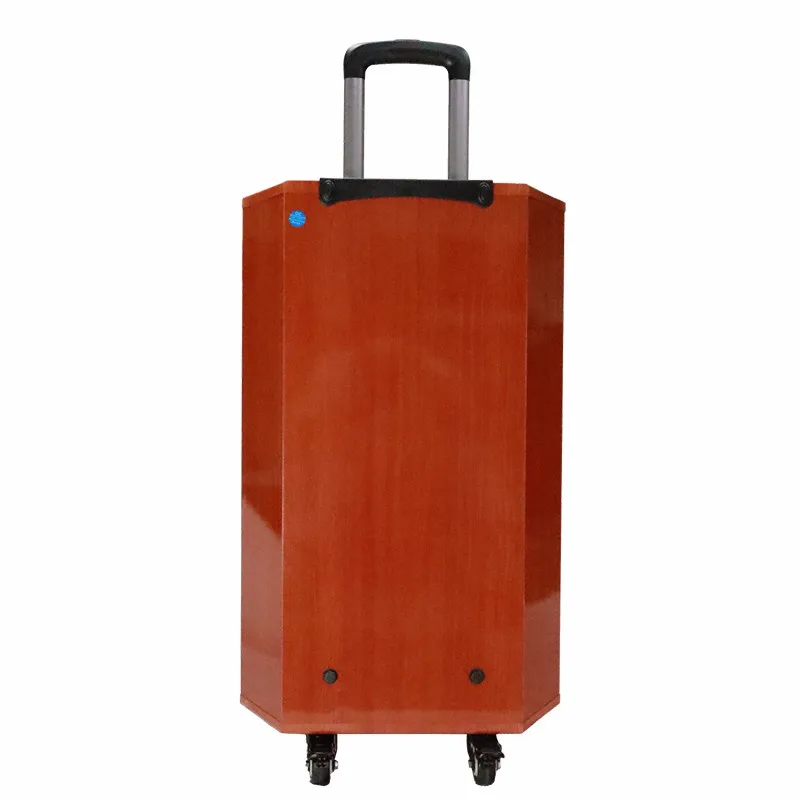 Trending 2022 Speakers Wireless Trolley Speaker Sound Equipment Amplifiers Speaker TF USB MIC ODM