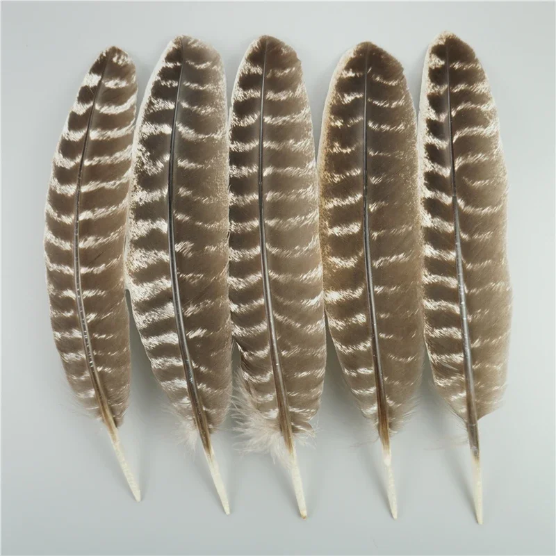 10Pcs/Bag Natural Eagle Feathers for Crafts Plume Headdress Accessories Holiday Decoration Carnival Feather DIY Handicraft Decor