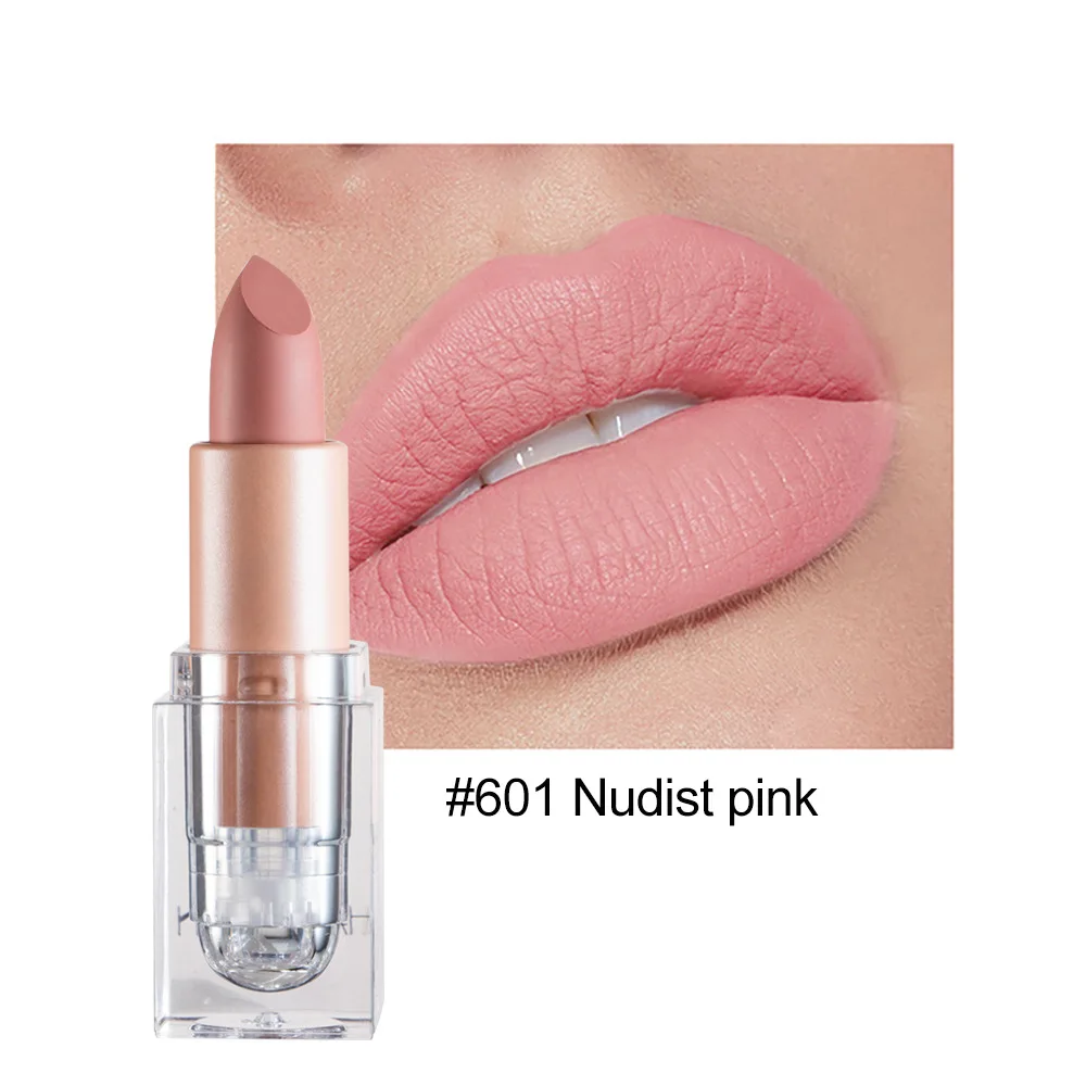 HANDAIYAN Private Label Clear Lipstick Tube 12 Color Waterproof Velvet  Lipstick Nude Vegan Matte Lipstick