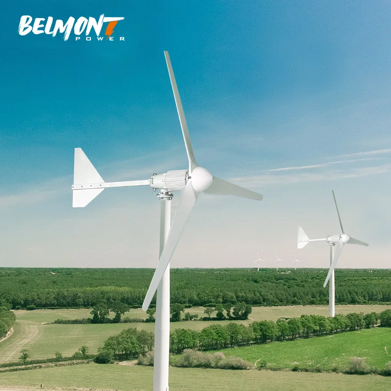 Horizontal Axis 2000w 2500w 3000w home wind turbine generator with controller inverter battery