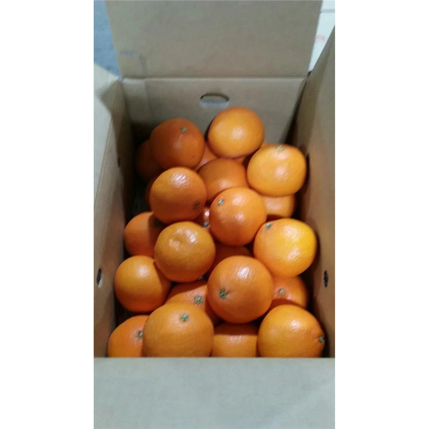 
early born strong sweet taste delicious honey fresh mandarin 