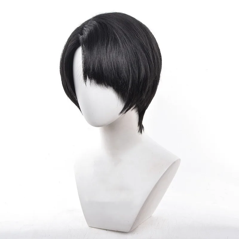 Wholesale Levi Ackerman Wig Cosplay 30cm Short Black Straight Attack on Titan Anime Peluca Synthetic Halloween Party Hair Wig
