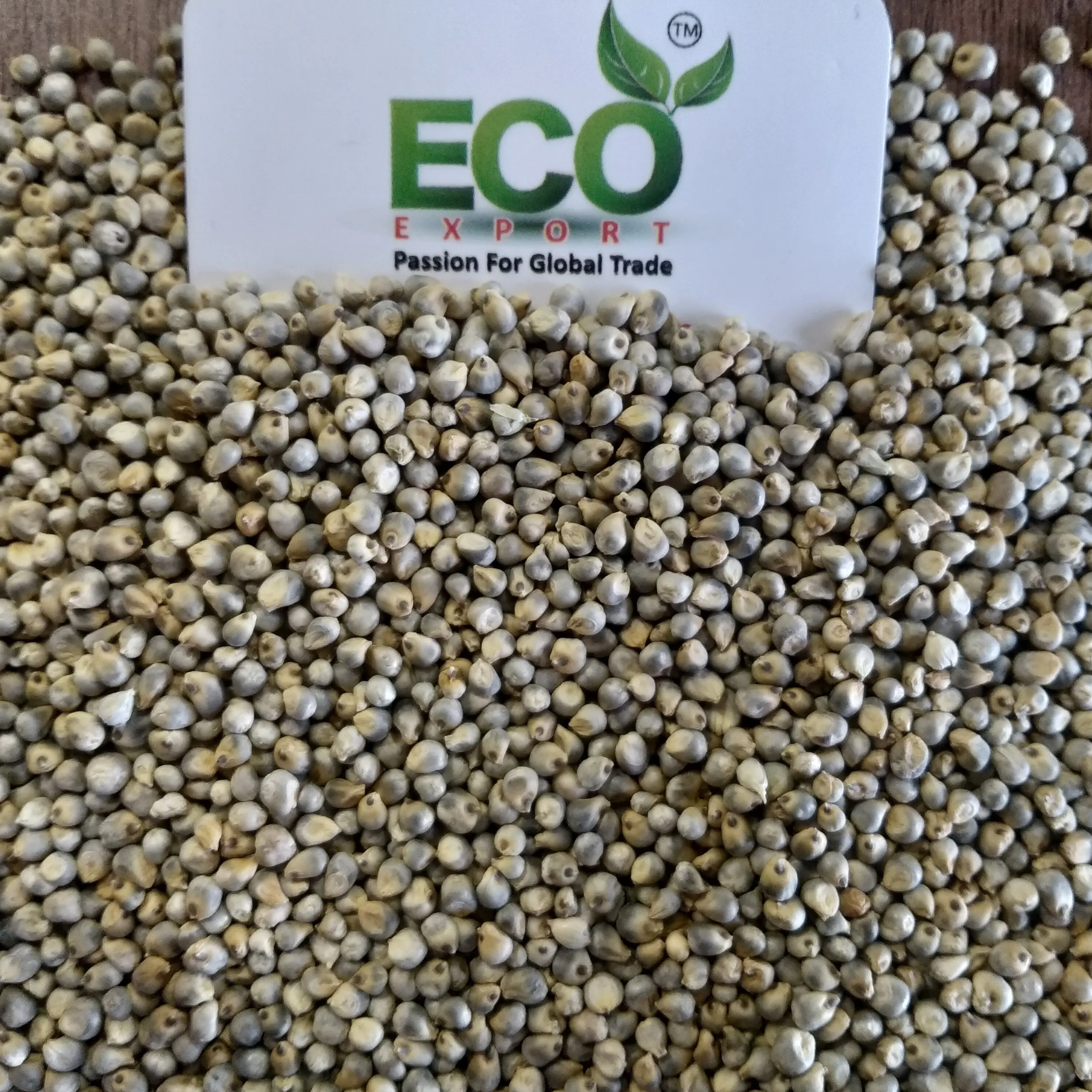 Green Millet Grains for Making High Energy Food and Animal Feed