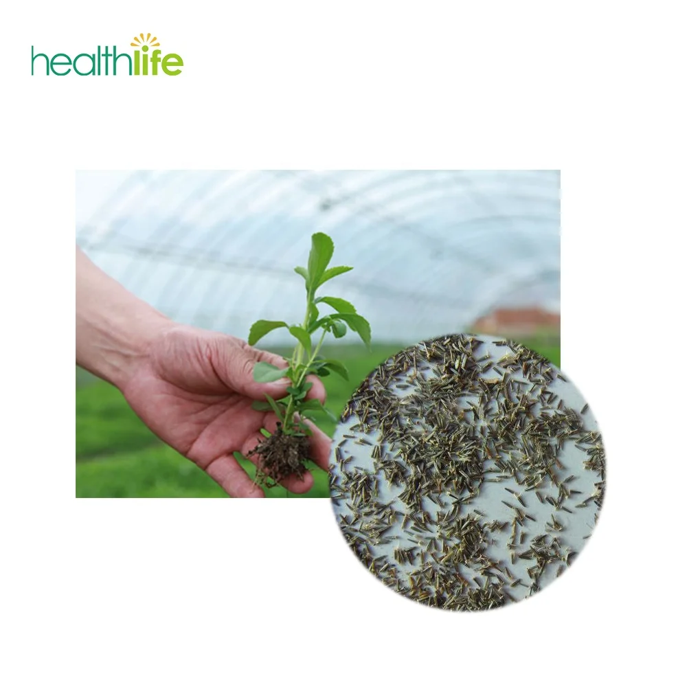 
Free Shipping Stevia Seeds for Planting 